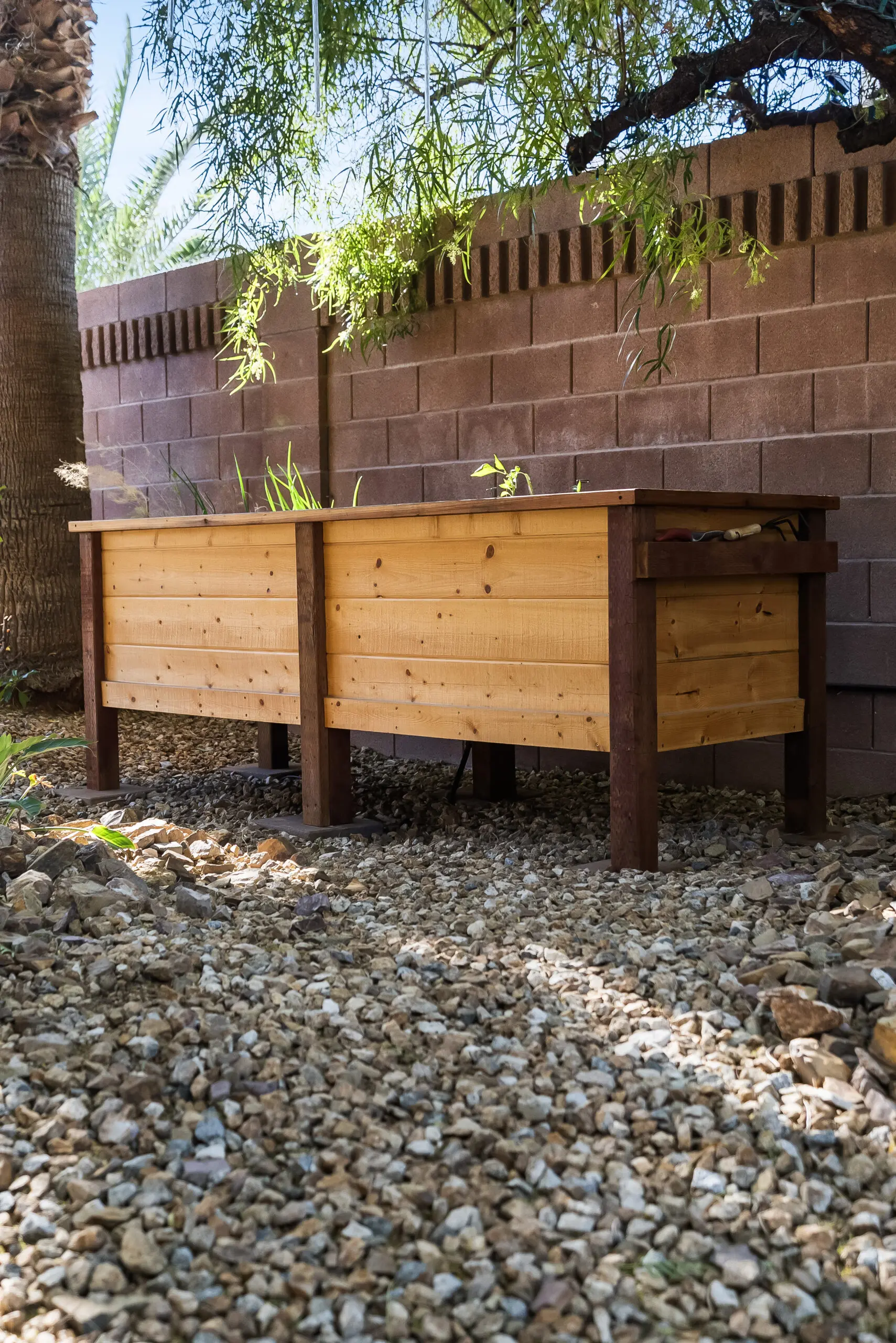 Outdoor planter boxes under tree shade