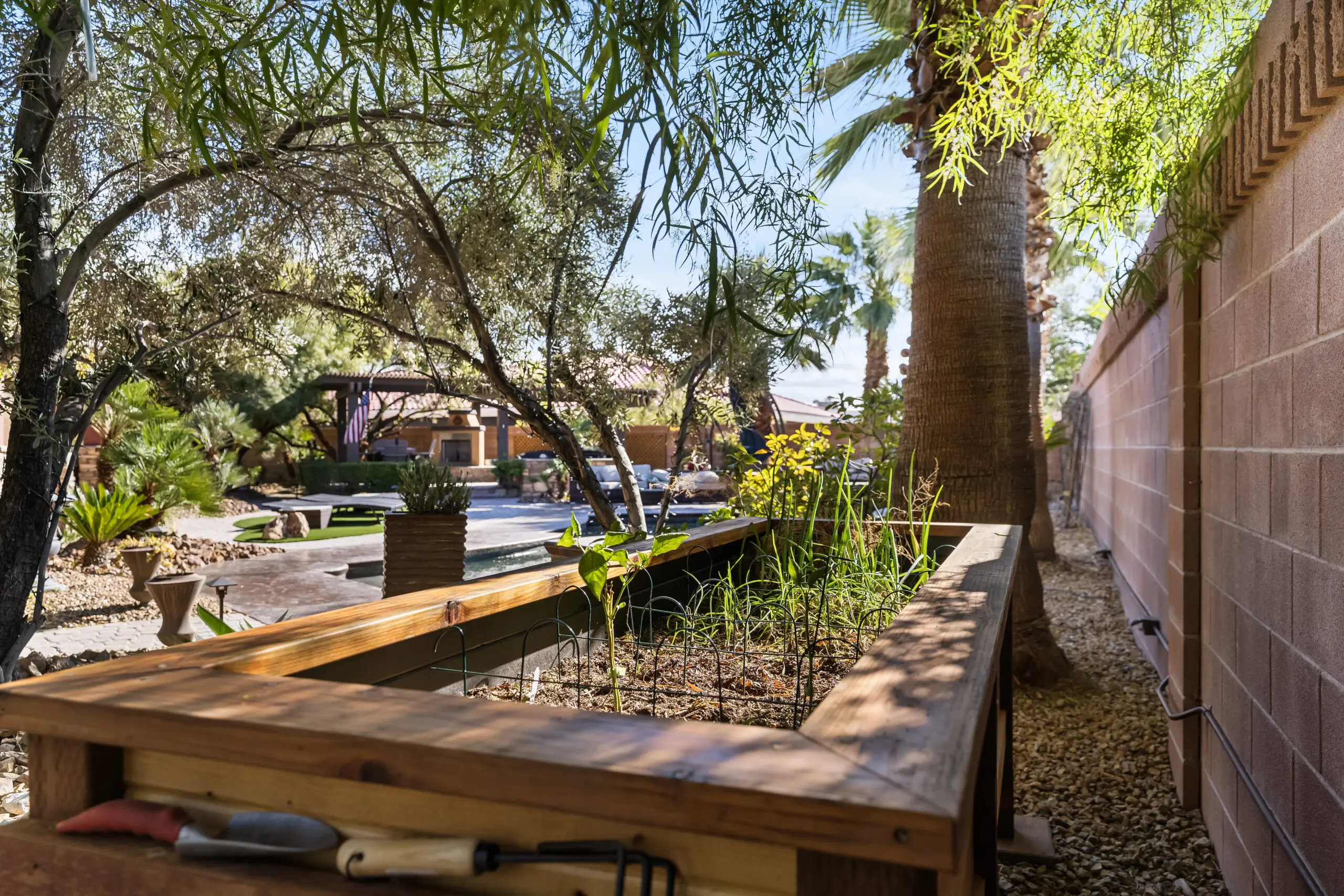 Raised garden bed in sunny backyard