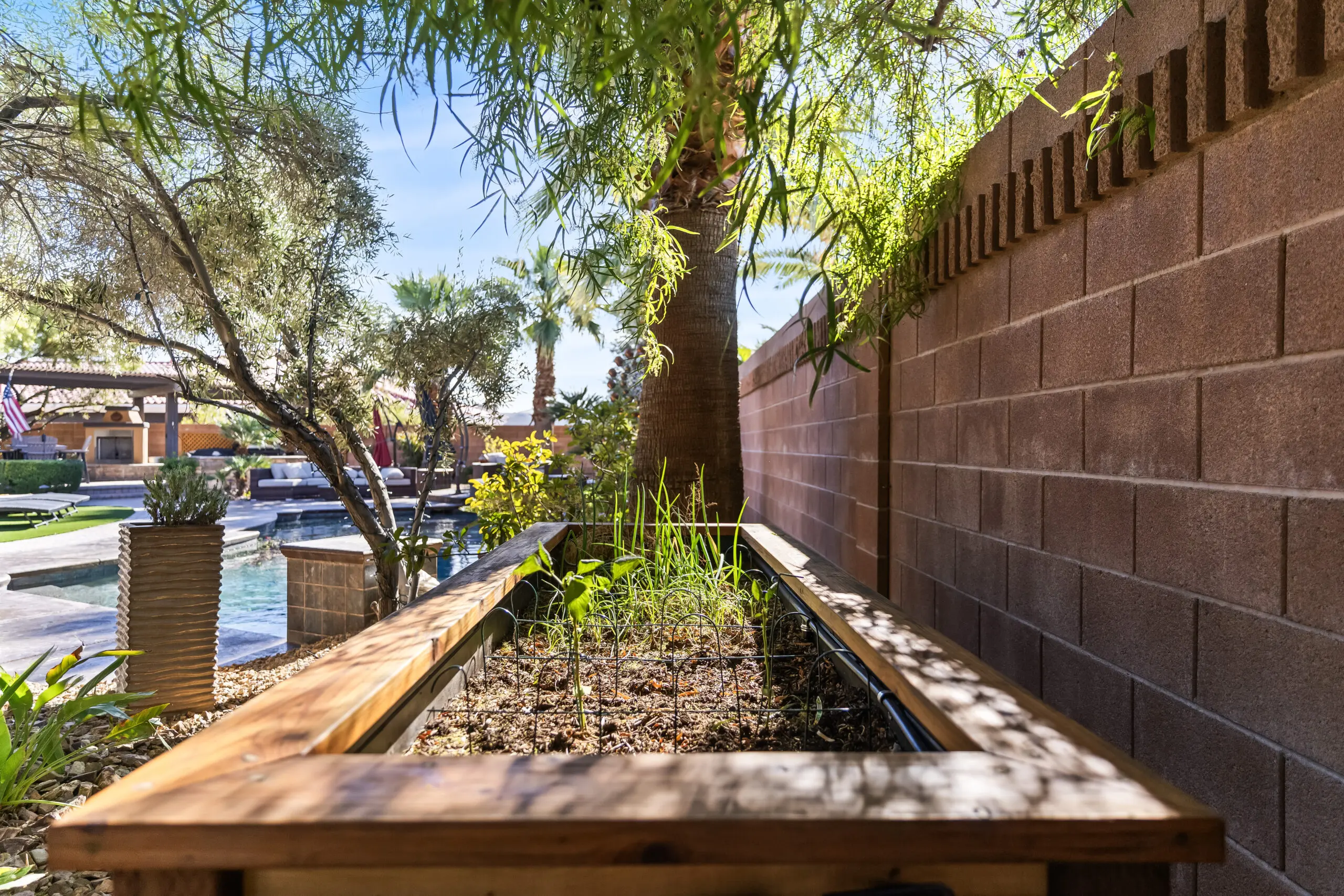 Sunlit backyard with greenery and pool