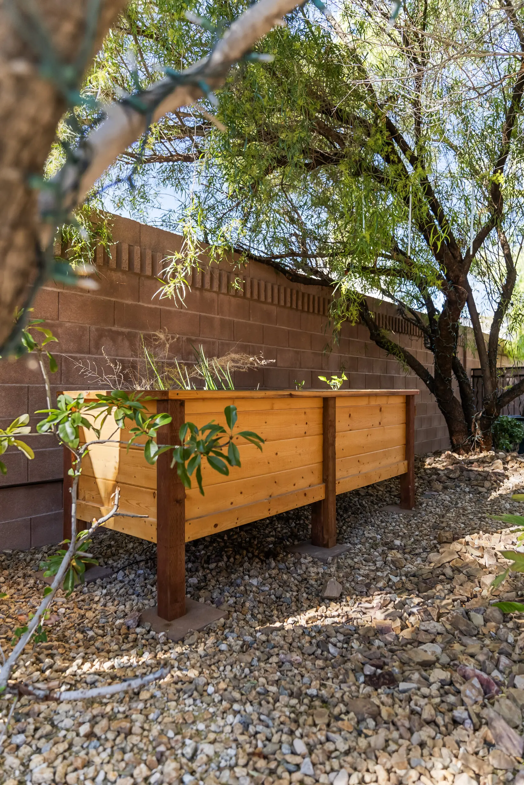 Wooden planter box in sunny garden