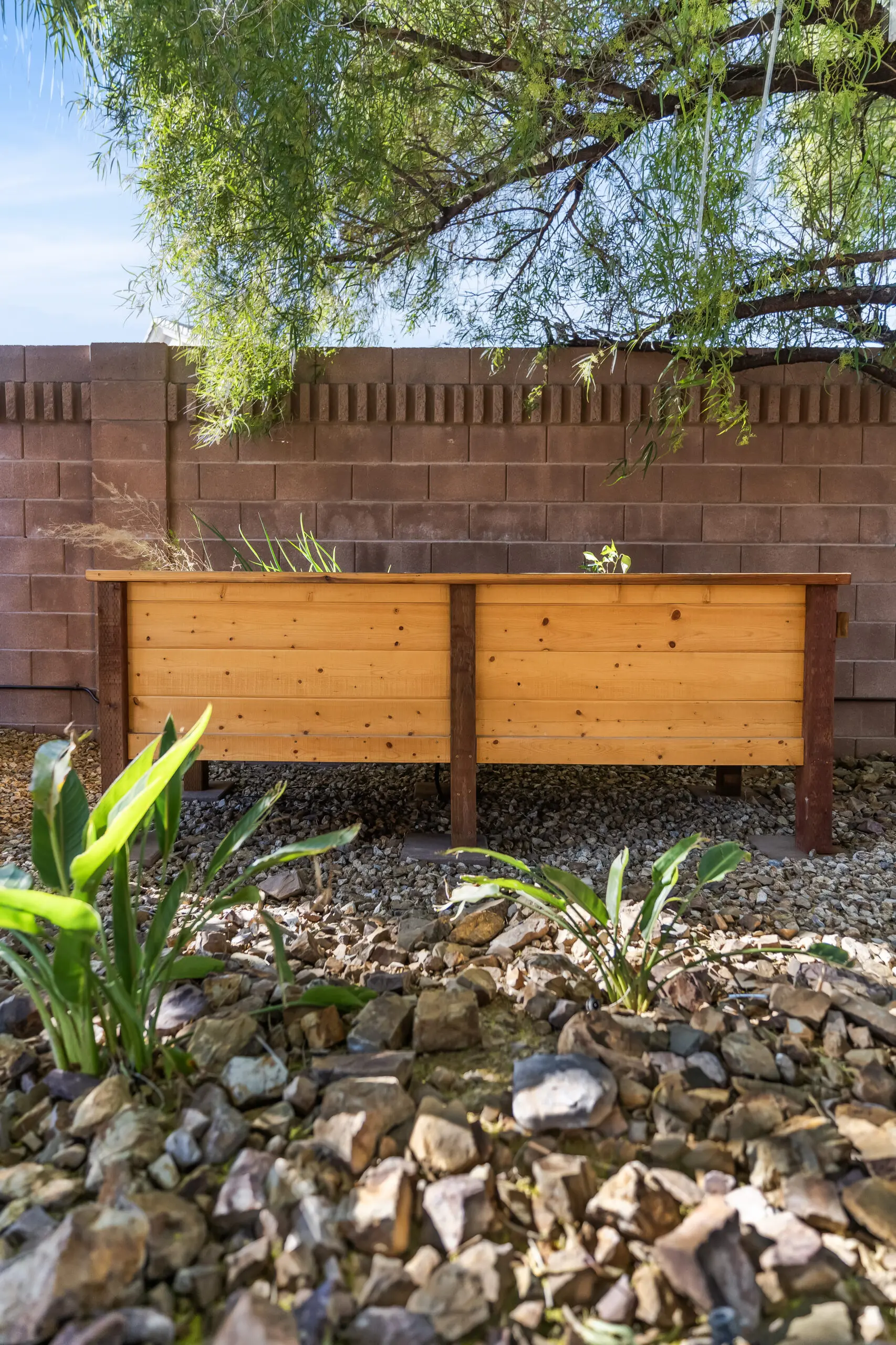Backyard garden with wooden planter